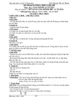 Giáo án đồ dùng gia đình bé t4 1.  2018