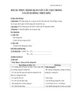 Giáo án Sinh học 7 bài 36: Thực hành quan sát cấu tạo trong của ếch đồng trên mẫu mổ