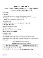 Giáo án Sinh học 7 bài 36: Thực hành quan sát cấu tạo trong của ếch đồng trên mẫu mổ