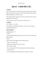 Giáo án Sinh học 7 bài 41: Chim bồ câu