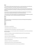 câu hỏi ôn tập pháp luật đại cương