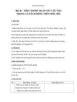 Giáo án Sinh học 7 bài 36: Thực hành quan sát cấu tạo trong của ếch đồng trên mẫu mổ