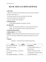 Giáo án Sinh học 7 bài 38: Thằn lằn bóng đuôi dài