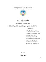 BÀI TẬP QUẢN TRỊ CHIẾN LƯỢC NGÀNH DA GIÀY TẠI CÔNG TY BITIS