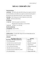 Giáo án Sinh học 7 bài 41: Chim bồ câu