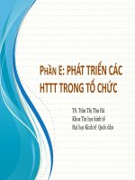 PHÁT TRIỂN CÁC HTTT TRONG TỔ CHỨC
