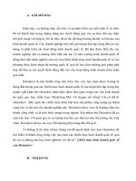 Tiểu luận chiến lược kinh doanh quốc tế của heineken