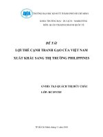 Tiểu luận lợi thế cạnh tranh của gạo việt nam xuất khẩu sang thị trường philippines 