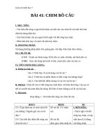 Giáo án Sinh học 7 bài 41: Chim bồ câu