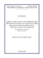 Nghiên cứu hiệu quả liều nạp clopidogrel 600mg trên độ ngưng tập tiểu cầu và kết quả can thiệp động mạch vành qua da trong cấp cứu nhồi máu cơ tim cấp có ST chênh lên (TT)