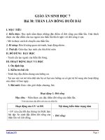 Giáo án Sinh học 7 bài 38: Thằn lằn bóng đuôi dài