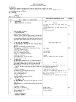 người gác rừng tí hon