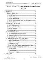 Tiểu luận dự án thành lập công ty tnhh lucky stars 