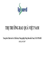 Báo cáo Thị trường rau quả Việt Nam_2