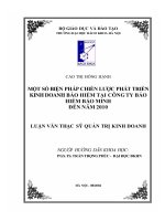 Một số biện pháp chiến lược phát triển kinh doanh bảo hiểm tại công ty bảo hiểm bảo minh đến năm 2010 