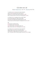 Lời bài hát và hợp âm guitar Cái trâm em cài