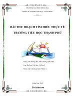 bài thu hoạch tìm hiểu thực tế trường tiểu học thạnh phú
