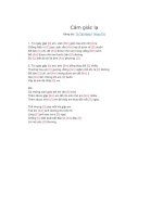 Lời bài hát và hợp âm guitar Cảm giác lạ