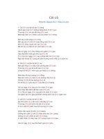 Lời bài hát và hợp âm guitar Cái cò