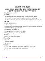 Giáo án Sinh học 8 bài 44: Thực hành  Tìm hiểu chức năng (liên quan đến cấu tạo) của tủy sống