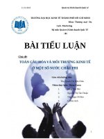 Toàn cầu hóa và môi trường kinh tế ở một số nước châu phi nam phi và ethiopia 