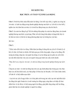 BÀI KIỂM TRA HỌC PHẦN: AN TOÀN VỆ SINH LAO ĐỘNG