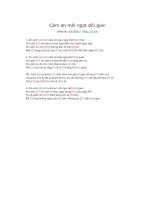 Lời bài hát và hợp âm guitar Cảm ơn môi ngọt dối gian