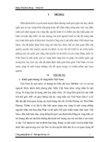 Phân tích các nguyên tắc phân định biển giữa việt nam với các nước ( các hoạt động mới nhất) 