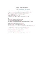 Lời bài hát và hợp âm guitar Cảm mến ân tình