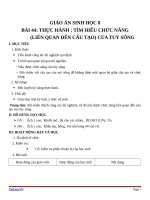 Giáo án Sinh học 8 bài 44: Thực hành  Tìm hiểu chức năng (liên quan đến cấu tạo) của tủy sống