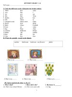 DE CUONG ON TAP HK TIENG ANH LOP 3