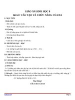 Giáo án Sinh học 8 bài 41: Cấu tạo và chức năng của da