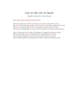 Lời bài hát và hợp âm guitar Cám ơn đời cám ơn người