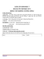 Giáo án Sinh học 7 bài 30: Ôn tập phần một  Động vật không xương sống