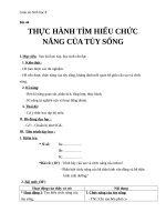 Giáo án Sinh học 8 bài 44: Thực hành  Tìm hiểu chức năng (liên quan đến cấu tạo) của tủy sống