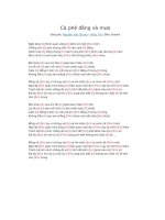 Lời bài hát và hợp âm guitar Cà phê đắng và mưa