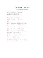 Lời bài hát và hợp âm guitar Cảm giác khi được yêu