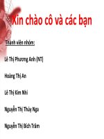 Phân tích môi trường văn hóa ảnh hưởng đến hoạt động kinh doanh quốc tế của australia và new zealand 