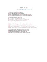 Lời bài hát và hợp âm guitar Cám ơn cha