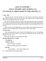 Giáo án Sinh học 7 bài 61: Tìm hiểu một số động vật có tầm quan trọng trong kinh tế địa phương