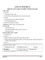 Giáo án Sinh học 8 bài 41: Cấu tạo và chức năng của da