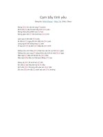 Lời bài hát và hợp âm guitar Cạm bẫy tình yêu