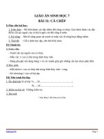 Giáo án Sinh học 7 bài 31: Cá chép