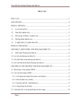 Tìm hiểu thị trường thương mại điện tử   môn thương mại điện tử 