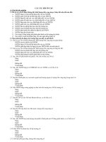 CÁ c+ câ u+ hỏ i+ô n+ tậ p++2013 