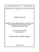 Luan an tom tat (viet) nghiên cứu đặc điểm lâm sàng, cận lâm sàng của nhồi máu não ở người cao tuổi có bệnh đái tháo đường