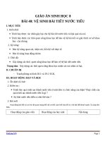 Giáo án Sinh học 8 bài 40: Vệ sinh hệ bài tiết nước tiểu