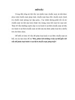 phân tích những ví dụ cụ thể gắn với vấn đề phân loại hành vi sai lệch chuẩn mực pháp luật