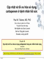 Cập nhật và tối ưu hóa sử dụng carbapenem ở bệnh nhân hồi sức