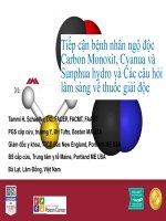 Tiếp cận bệnh nhân ngộ độc carbon monoxit, cyanua và sunphua hydro và các câu hỏi lâm sàng về thuốc giải độc